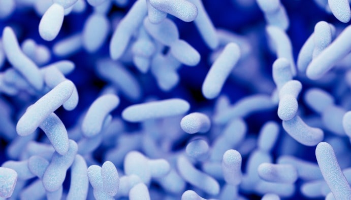 Legionella Bakterisi Analizi