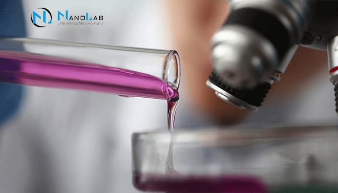 Counting Sulfite-Reducing Anaerobic Bacteria