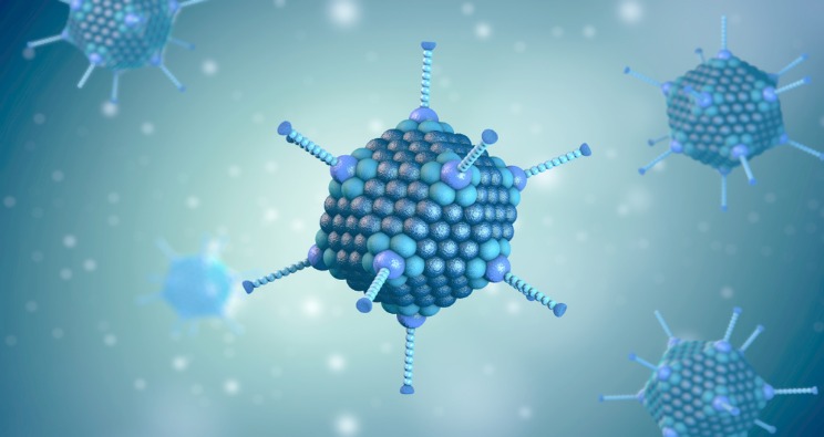 Virüsidal Aktivite Testlerinde Adenovirüs Tip 5 Testi