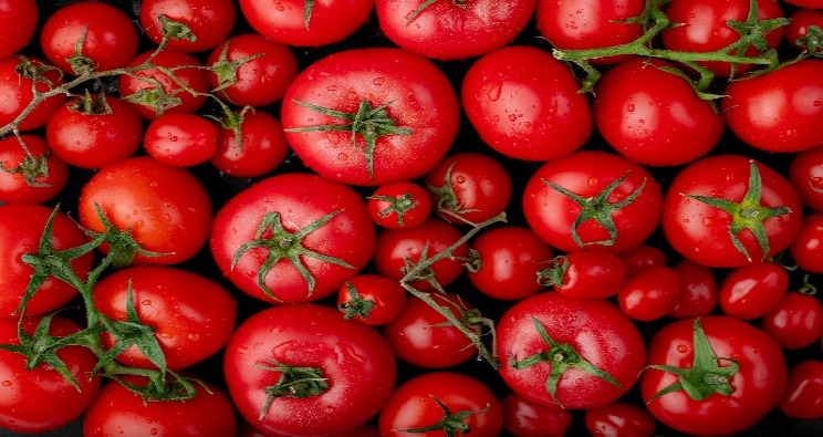 Определение ликопина в помидоре