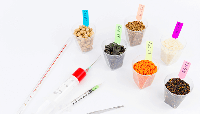 T-2/HT-2 Analysis