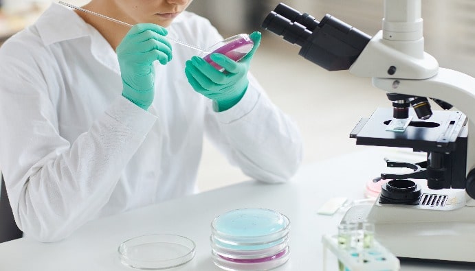 Koagulase-positive Staphylokokkenzahl (Staphylococcus aureus und andere Spezies)