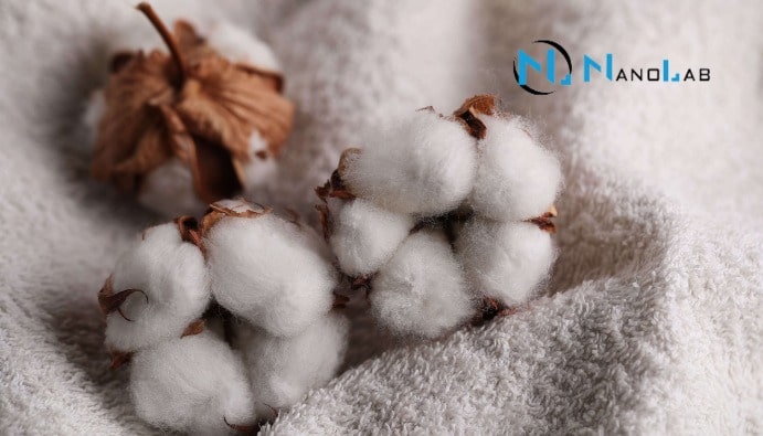 Organic Cotton Analysis