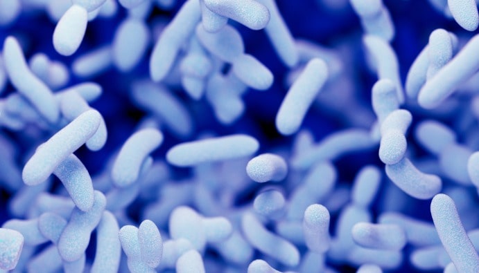 Analyse des bactéries Legionella