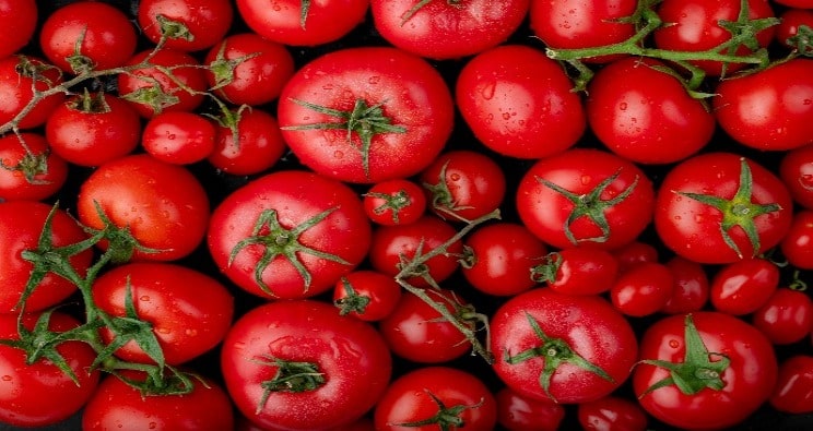 تحديد الليكوبين في الطماطم