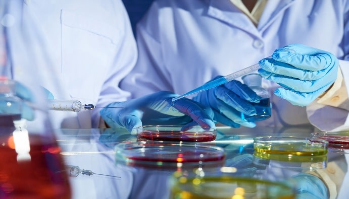 Enterobacteriaceae Enumeration in Foods: Food Safety