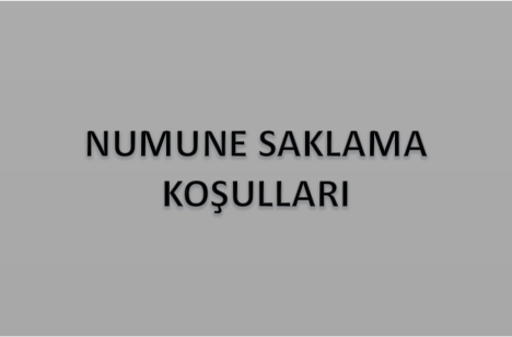 Nanolab Edirne Şikayet Prosesi