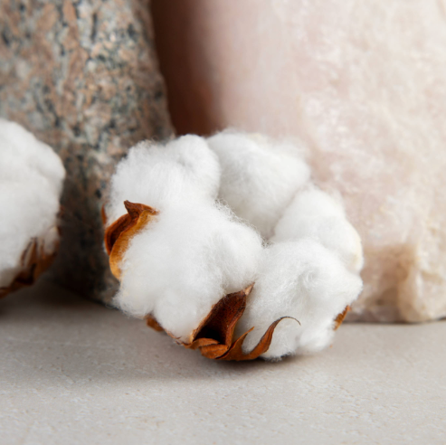 Tests de coton