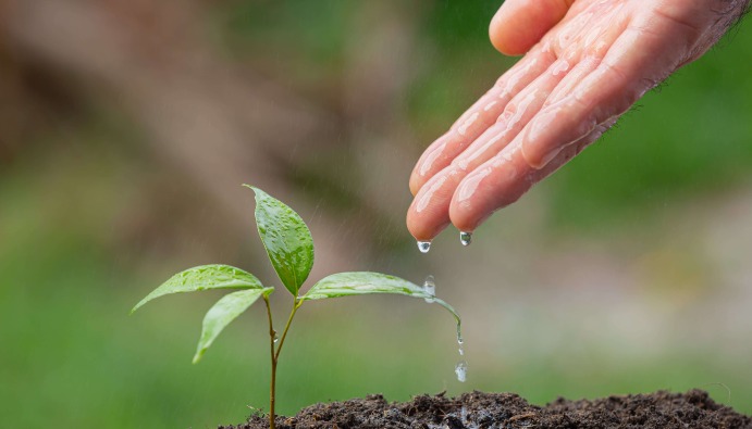 Agricultural Irrigation Water Quality: Parameters