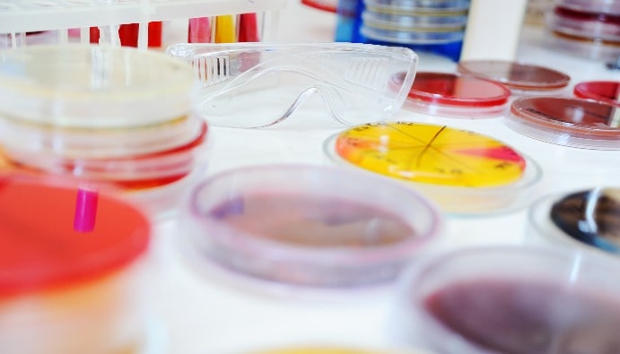 Anaerobic Bacteria in Foods: Species and Hazards