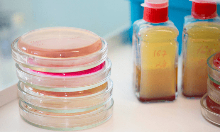 Analyse chemischer Rohstoffe | Qualität und Sicherheit