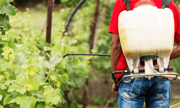 Análisis de productos agrícolas: pesticidas, herbicidas y fungicidas