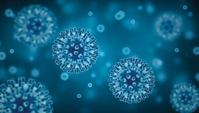 Assessment of Sporicidal Activity: Efficacy and Safety