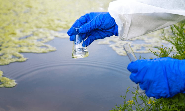 Determinación del nitrato en el agua: mediante cromatografía iónica