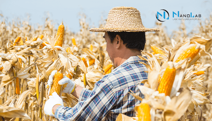 Determination of Deoxynivalenol (DON): Mycotoxin Analysis