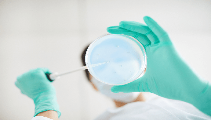 Enterococcus Enumeration in Foods: Microbiological Tests