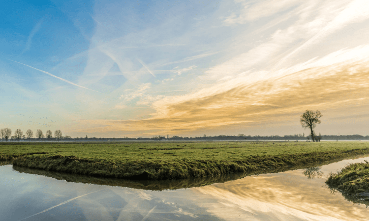 Estudios de toxicidad ambiental: ¡calidad del agua, del suelo y del aire!