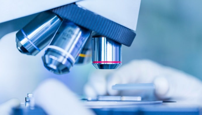 Fungicidal and Yeacidal Activities: Antifungal Activity Test