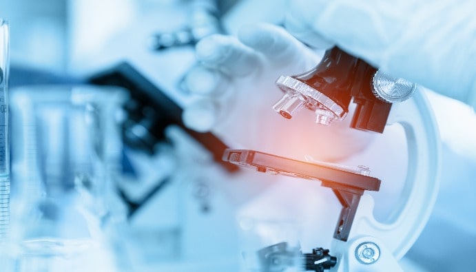 Genotoxicity Tests: Toxic Effects on DNA