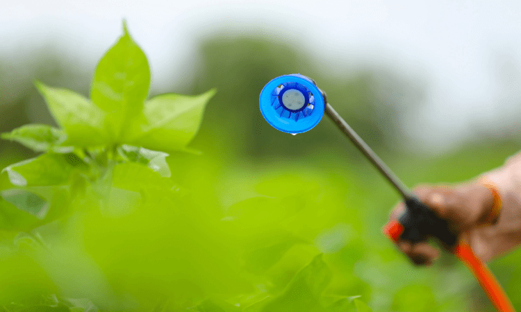 GLP-onderzoeken naar pesticidenproducten | Veilige productie