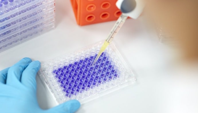 Prüfungen auf In-vitro-Zytotoxizität (ISO 10993-5)
