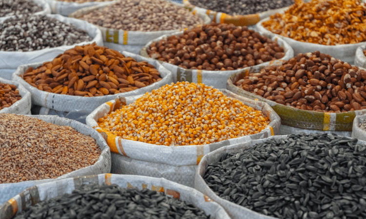 Las micotoxinas, del campo a la mesa: su formación en los alimentos
