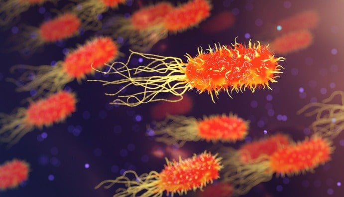 Legionellaya Karşı Bakterisidal Aktivite: Su ve Yüzey Testi