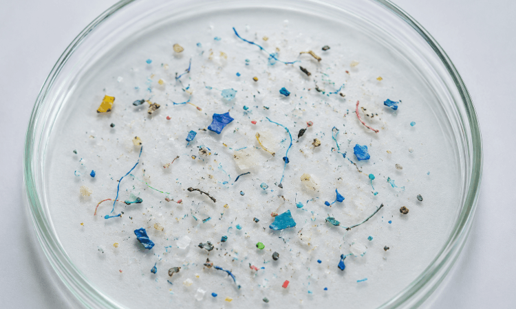 Microplastiques et sécurité alimentaire : voies de contamination, risques et méthodes d'analyse
