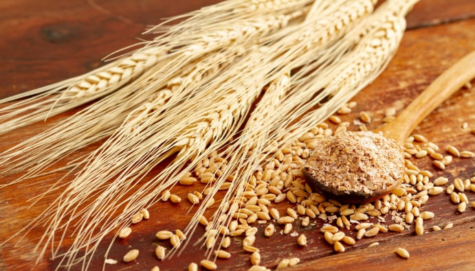 Методи за тестване на пшеница и брашно