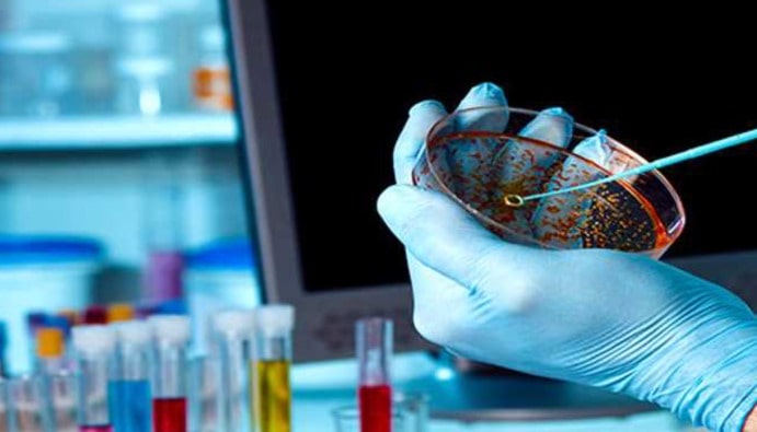 ISO 4832: Koliform Bakteri Sayımı - Koloni Sayım Tekniği
