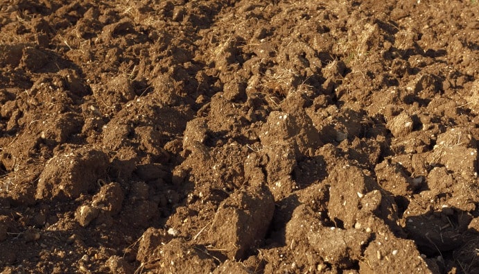 Nitrogen in Sewage Sludge: Environmental Assessment