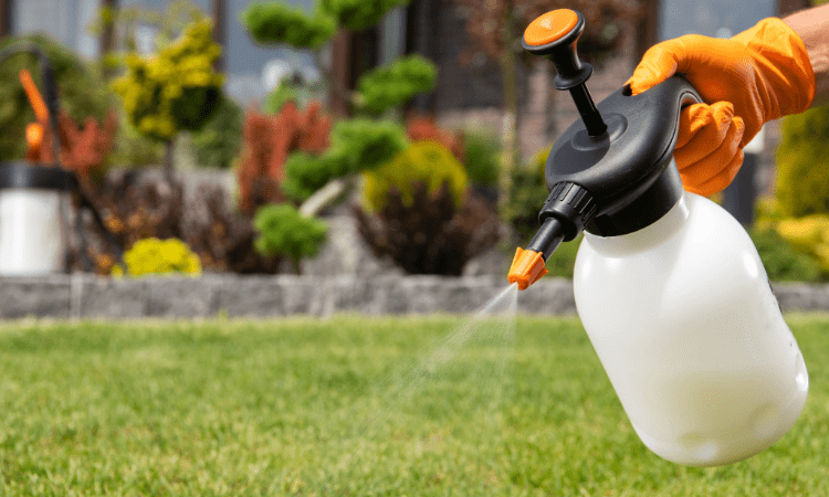 Pestisit Nedir? Kullanım Alanları ve Sağlık Etkileri