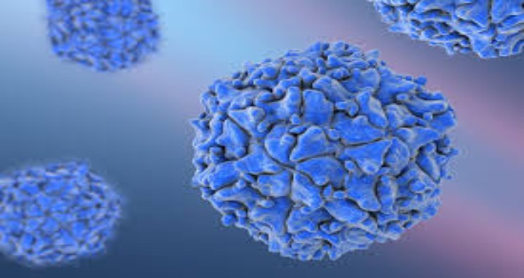 Poliovirus Type 1 Test in Virucidal Activity Tests