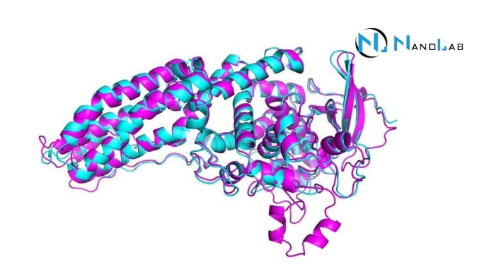 Nuclear Magnetic Resonance Spectroscopy of Proteins