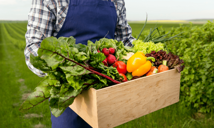 Residuos de plaguicidas y alimentos ecológicos: lo que revelan los análisis