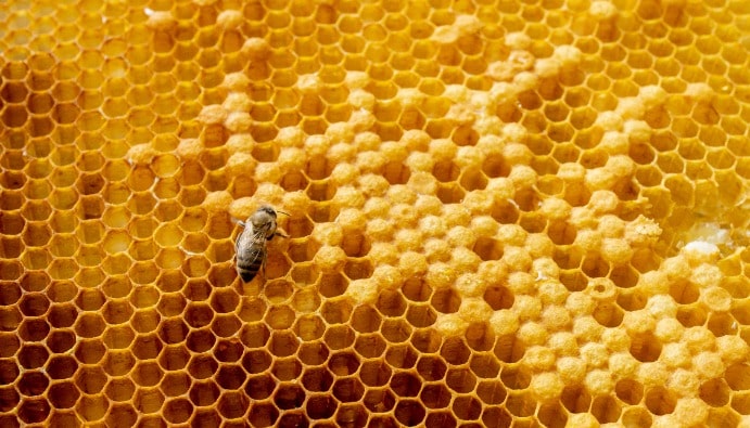 Sugar Components and Determination in Honey: Quality Control