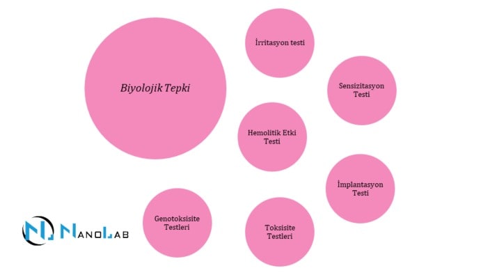 Tests de biocompatibilité dans les dispositifs médicaux