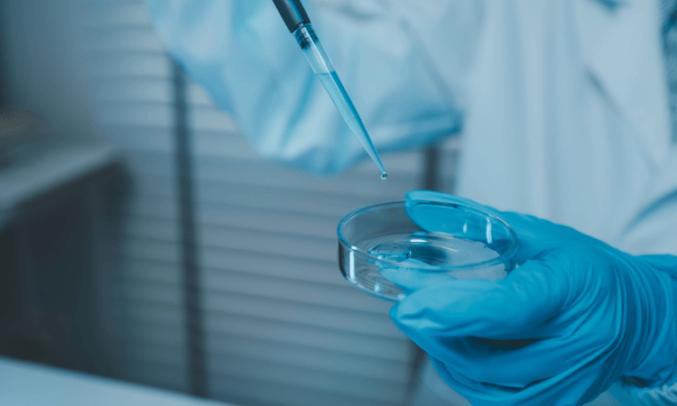 Toxicology Studies: Acute, Chronic and Subchronic Toxicity Tests