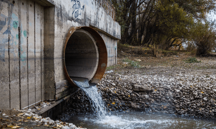 Wastewater Analysis: A Vital Step Toward a Cleaner Future