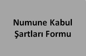 Shembull i formularit të pranimit