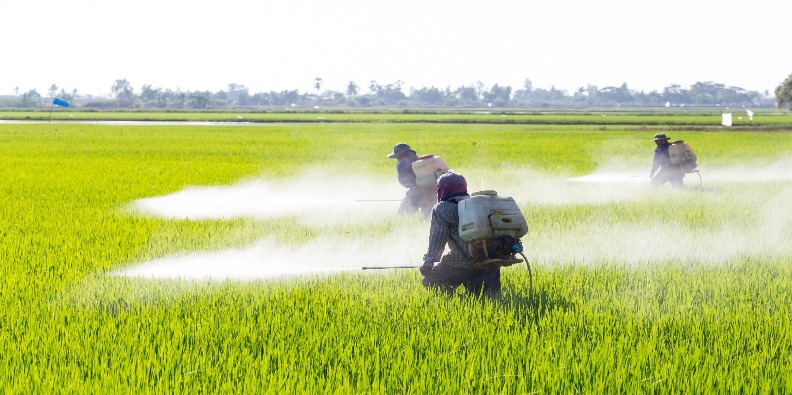 Produktet e pesticideve